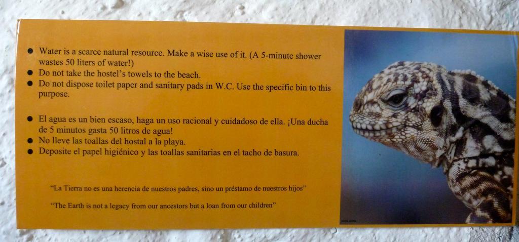 La K-leta Boutique Puerto Ayora (Galapagos Islands)